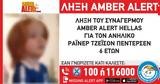 Λήξη, Ambert Alert Hellas, 6χρονο Ράινερ,lixi, Ambert Alert Hellas, 6chrono rainer