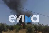 Φωτιά, Εύβοια, Ξέσπασε, Ερέτρια,fotia, evvoia, xespase, eretria