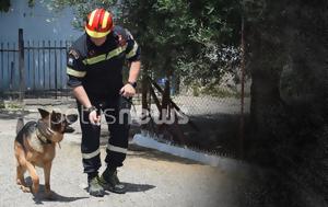 Πύργος, Κορυφώνεται, Θύμιο – Νέες, ΕΜΑΚ, pyrgos, koryfonetai, thymio – nees, emak