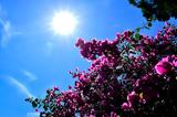 Καιρός, – Πού,kairos, – pou