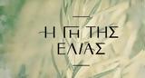 Ελιάς, Μαρίνα, Ανέστη,elias, marina, anesti