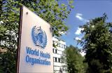 Παγκόσμιος Οργανισμός Υγείας, Συχνότερες,pagkosmios organismos ygeias, sychnoteres