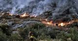 Φωτιά, Γλυφάδα, Πυρκαγιά, Πουρνάρι,fotia, glyfada, pyrkagia, pournari