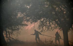 Πυρκαγιά, Χράνους Μεσσηνίας, pyrkagia, chranous messinias