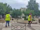 Πάτρα, Εντατικά,patra, entatika