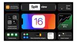OS 16,Phone 8