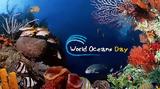 Παγκόσμια Ημέρα Ωκεανών,pagkosmia imera okeanon