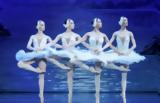 International Stars, Classical Ballet - Έρχεται, Λίμνη, Κύκνων,International Stars, Classical Ballet - erchetai, limni, kyknon