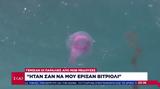 Μωβ, Ήταν,mov, itan