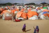 Σομαλία, Μεγάλος, – Πάνω, 800 000,somalia, megalos, – pano, 800 000