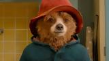 Ανακοινώθηκε, Paddington 3 – Cineramen,anakoinothike, Paddington 3 – Cineramen