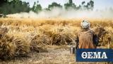 Most Vulnerable Countries Amid Wheat Shortages,