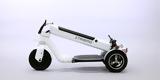 HONDA Striemo,