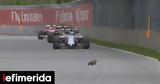 Formula 1, Αυτός, Καναδά [βίντεο],Formula 1, aftos, kanada [vinteo]