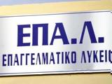 Επεκτείνεται, Πρότυπων Επαγγελματικών Λυκείων,epekteinetai, protypon epangelmatikon lykeion