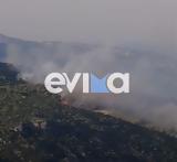 ΦΩΤΙΑ ΤΩΡΑ Εύβοια, Καλύτερη,fotia tora evvoia, kalyteri
