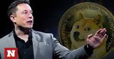 Elon Musk, Μπορεί, Dogecoin,Elon Musk, borei, Dogecoin