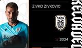 ΠΑΟΚ, 2024, Ζίβκο Ζίβκοβιτς,paok, 2024, zivko zivkovits