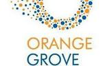 Orange Grove, Υποβολή, Incubation,Orange Grove, ypovoli, Incubation