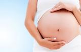 Σε δημόσια διαβούλευση το νομοσχέδιο για την εξωσωματική γονιμοποίηση – Τι αλλάζει,