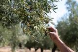 ΟΡΓΑΝΩΣΕΙΣ ΑΙΤΩΛΟΑΚΑΡΝΑΝΙΑΣ - ΜΕΣΣΗΝΙΑΣ, ΚΚΕ, Καμία, Καλαμών,organoseis aitoloakarnanias - messinias, kke, kamia, kalamon