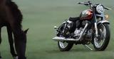 Ιούλιο, Royal Enfield Hunter 350,ioulio, Royal Enfield Hunter 350