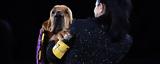 Westminster Kennel Club Photos,