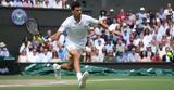 Wimbledon Ανδρών, Ανάλυση,Wimbledon andron, analysi