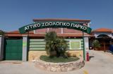 Αττικό Ζωολογικό Πάρκο, Συνελήφθη,attiko zoologiko parko, synelifthi