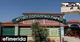 Οργή, Αττικό Ζωολογικό Πάρκο,orgi, attiko zoologiko parko