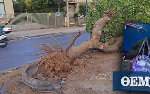 Κακουργηματική, 18χρονου, Χαλάνδρι, kakourgimatiki, 18chronou, chalandri