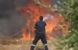 Φωτιά, Άστρος Κυνουρίας-, Ορεινή Μελιγού,fotia, astros kynourias-, oreini meligou