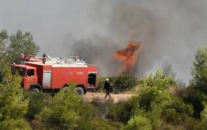 Φωτιά, Αρκαδία, Μάχη, Πυροσβεστικής, fotia, arkadia, machi, pyrosvestikis