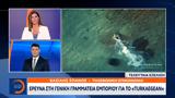 Έρευνα, Γενική Γραμματεία Εμπορίου, Turkaegean,erevna, geniki grammateia eboriou, Turkaegean