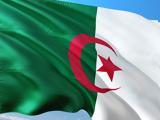 Google Doodle, Τιμά, Ημέρα Ανεξαρτησίας, Αλγερίας,Google Doodle, tima, imera anexartisias, algerias