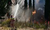 Βελτιωμένη, Άγιον Όρος,veltiomeni, agion oros