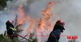 Φωτιά, Ιτέα, Αναζωπύρωση, Ηλία- Κάηκαν 3 000,fotia, itea, anazopyrosi, ilia- kaikan 3 000