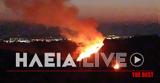 Ηλεία, Πυρκαγιά, Πύργο,ileia, pyrkagia, pyrgo