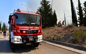 Φωτιά, Νέο Πετρίτσι Σερρών – Άμεση, Πυροσβεστικής, fotia, neo petritsi serron – amesi, pyrosvestikis