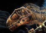 Ανακαλύφθηκε, Αργεντινή, Meraxes, Τυραννόσαυρος,anakalyfthike, argentini, Meraxes, tyrannosavros