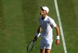 Νόβακ Τζόκοβιτς, Wimbledon,novak tzokovits, Wimbledon