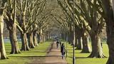 Cambridge, Πέντε, Αρχές,Cambridge, pente, arches