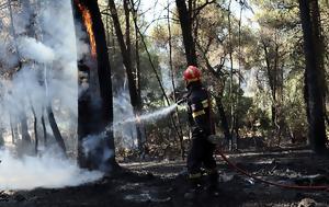 Φωτιά, Ωλένη, Πύργου Ηλείας, fotia, oleni, pyrgou ileias