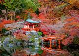 Japanese Garden,Athens