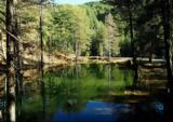 Κόνιτσα, “παραδοσιακό”,konitsa, “paradosiako”