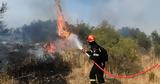 Φωτιά, Πυρκαγιά, Καλλιθέα Πάτρας,fotia, pyrkagia, kallithea patras