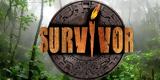 Survivor All Star,