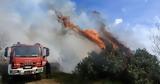 Φωτιά, Πυρκαγιά, Ελληνικό Αρκαδίας,fotia, pyrkagia, elliniko arkadias