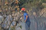 Πυρκαγιά, Μαλεβίζι Κρήτης,pyrkagia, malevizi kritis