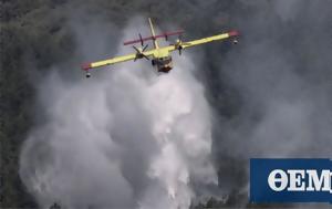 French President Tweets, Greek, Greece, Canadair